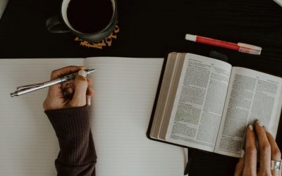 7 Tips on How to Develop Effective Daily Bible Reading