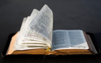 [Verse] Reminder: You Are Chosen, Royal, Holy and His Own!
