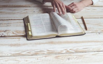 How to Read the Bible and What Matters the Most –  30 Bible Basics