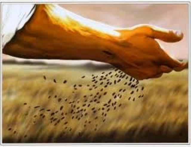 The Mustard Seed Faith – Mountain Moving Faith